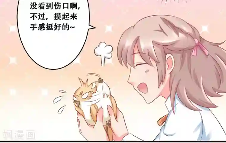 冤家小小鸟第24话