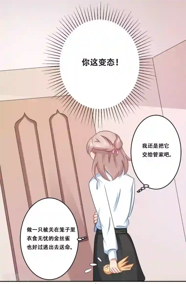 冤家小小鸟第24话