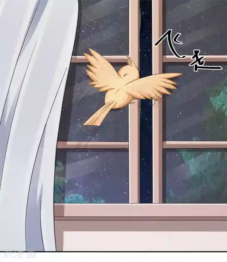 冤家小小鸟第24话