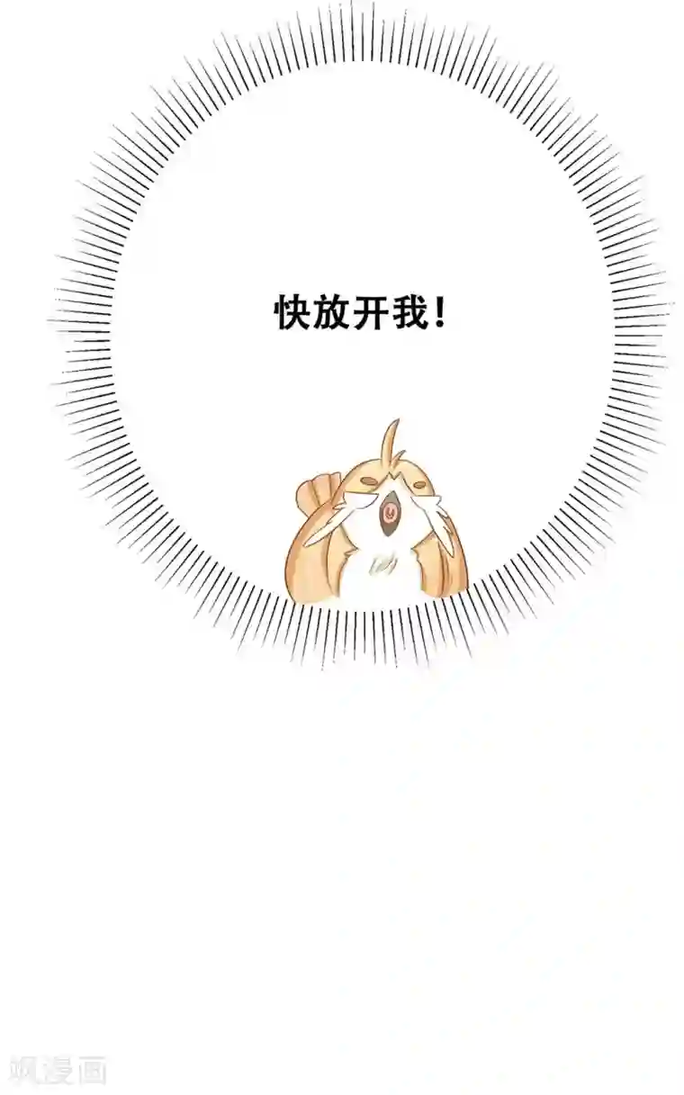 冤家小小鸟第24话