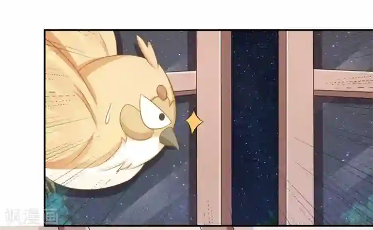 冤家小小鸟第24话