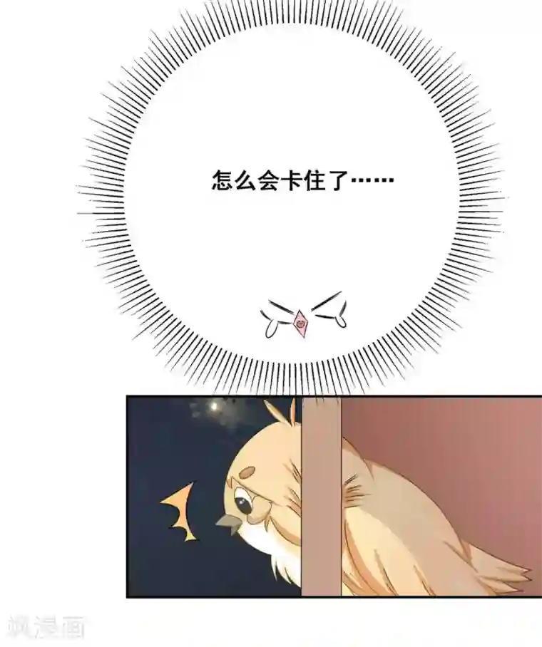 冤家小小鸟第24话