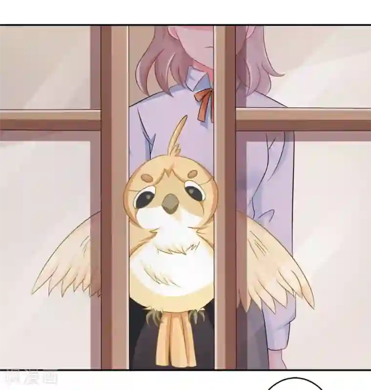 冤家小小鸟第24话