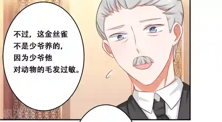 冤家小小鸟第25话