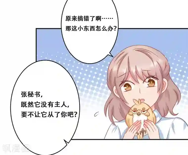 冤家小小鸟第25话