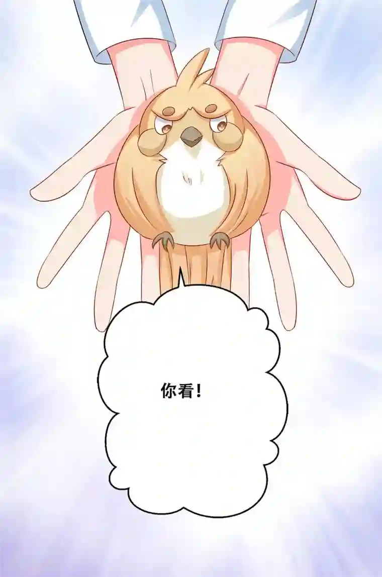 冤家小小鸟第25话