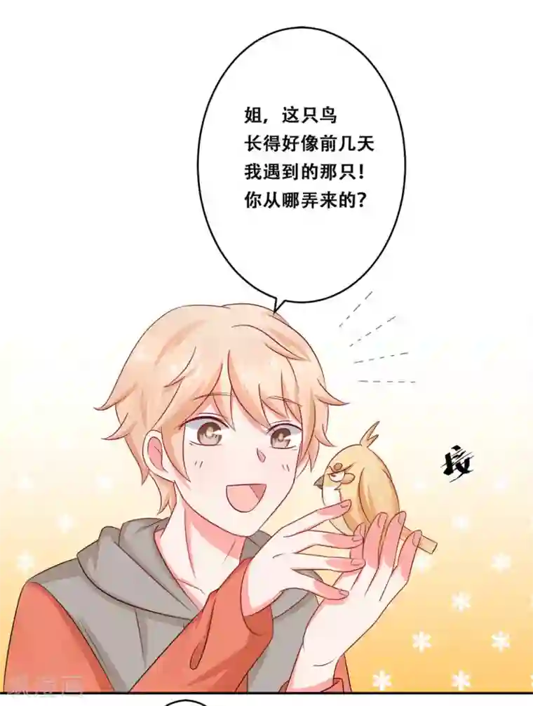 冤家小小鸟第25话