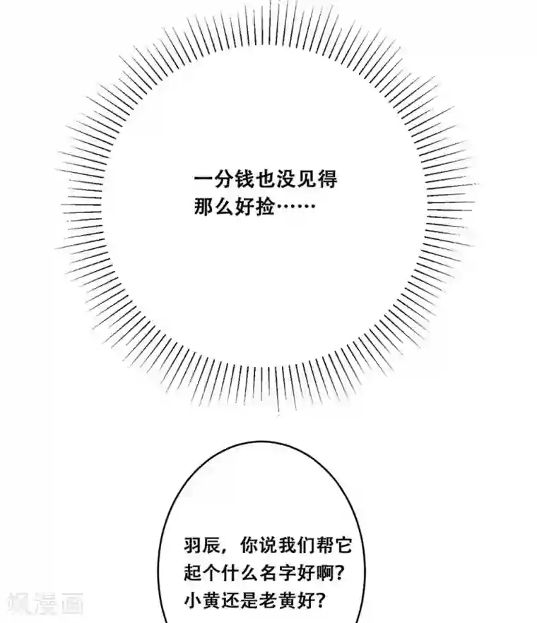 冤家小小鸟第25话