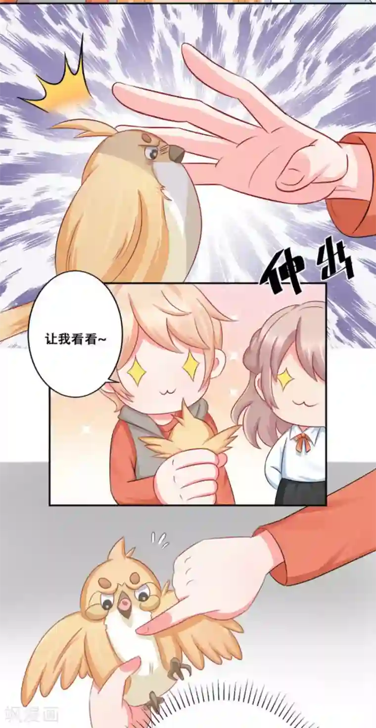 冤家小小鸟第25话