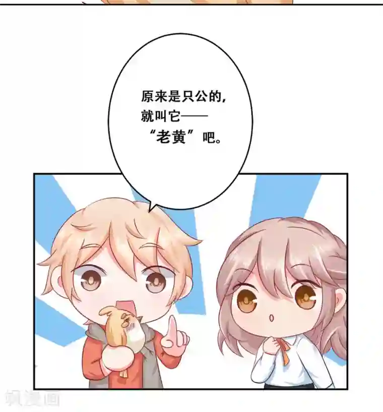 冤家小小鸟第25话