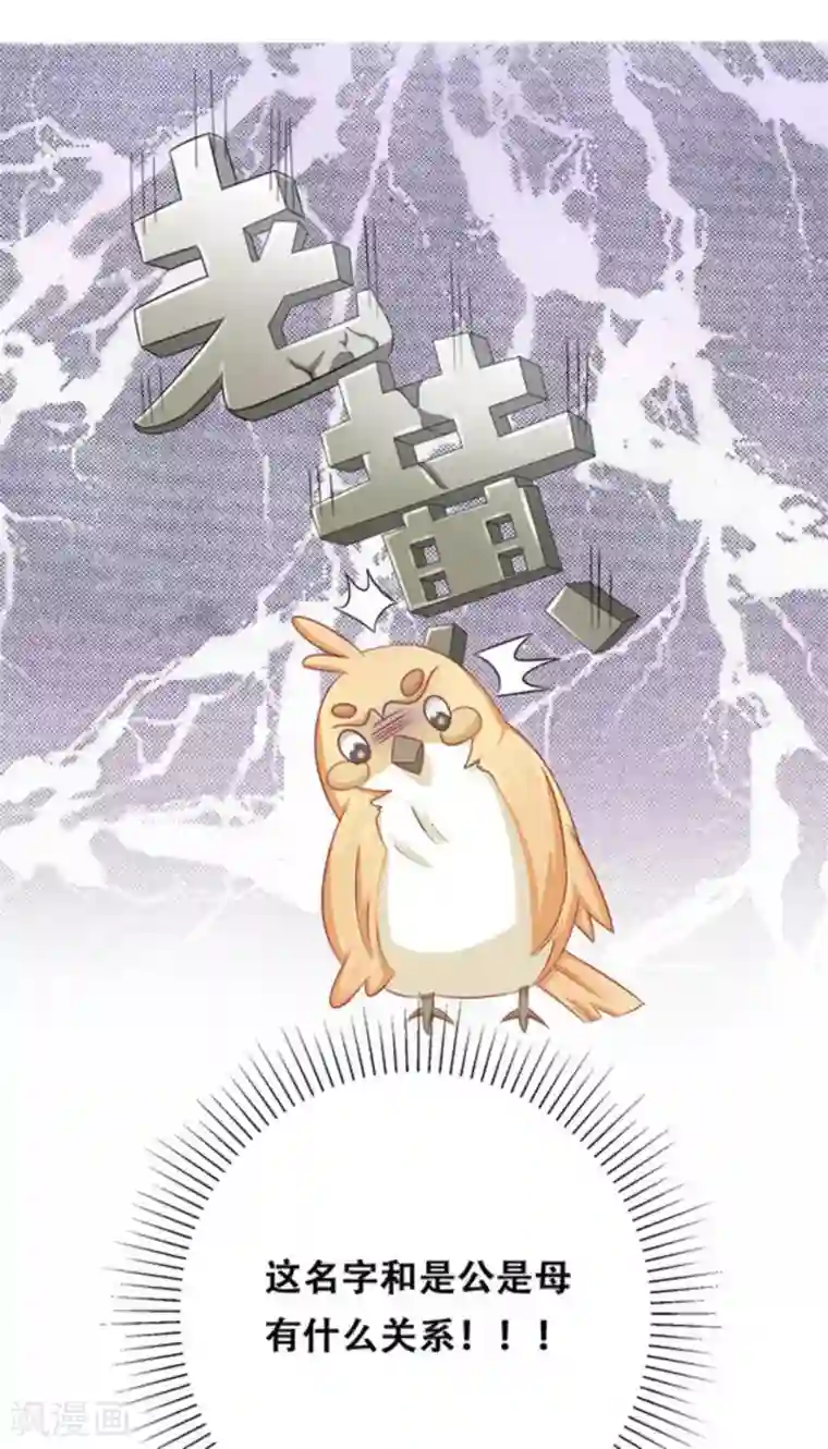 冤家小小鸟第25话