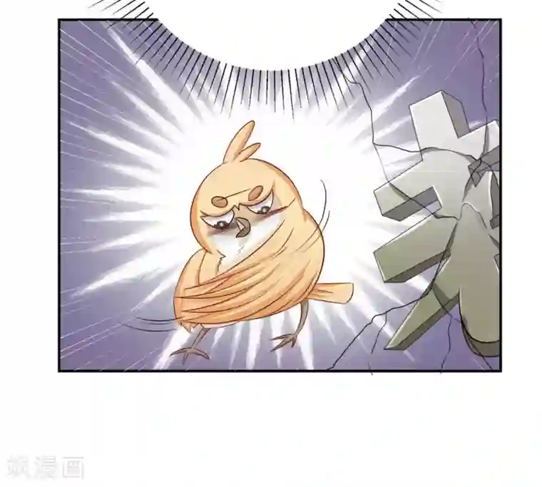 冤家小小鸟第25话