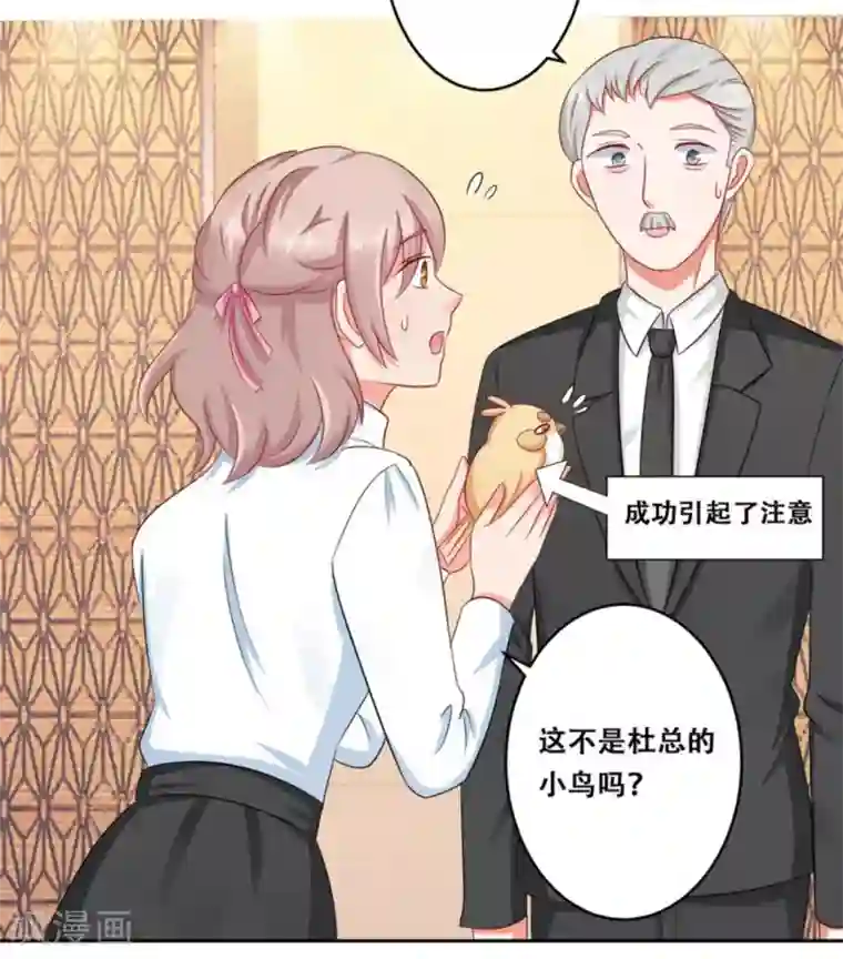 冤家小小鸟第25话