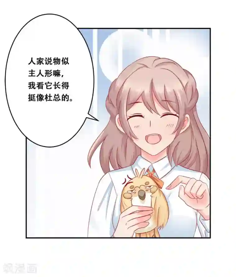 冤家小小鸟第25话