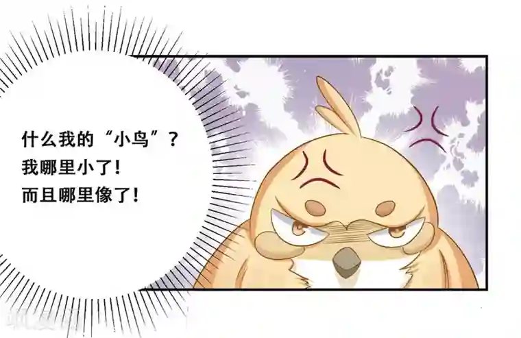 冤家小小鸟第25话