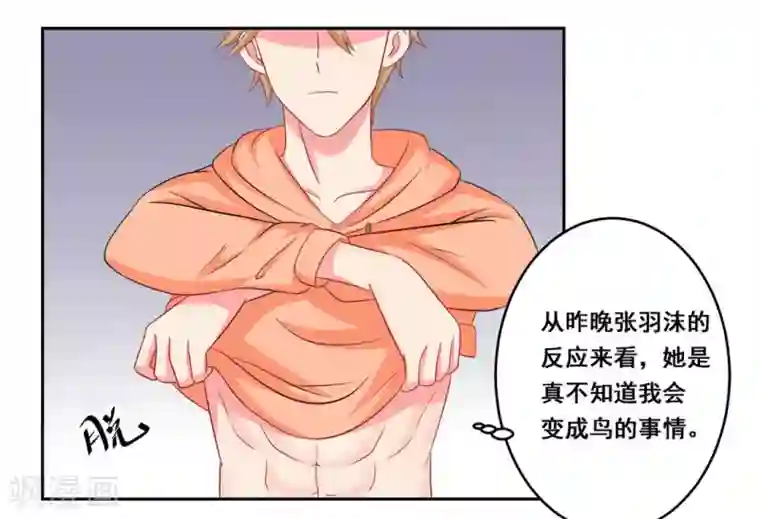 冤家小小鸟第27话