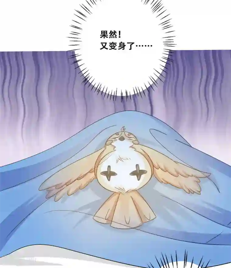 冤家小小鸟第31话