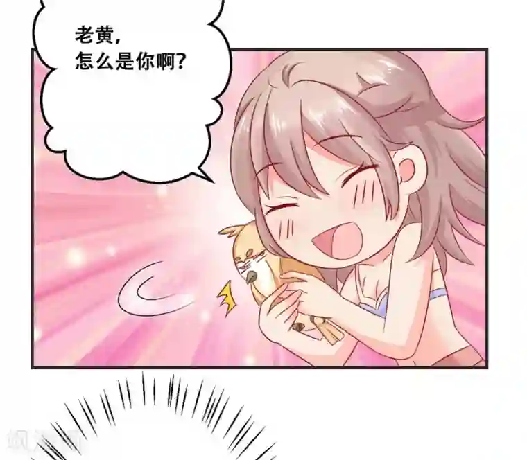 冤家小小鸟第31话