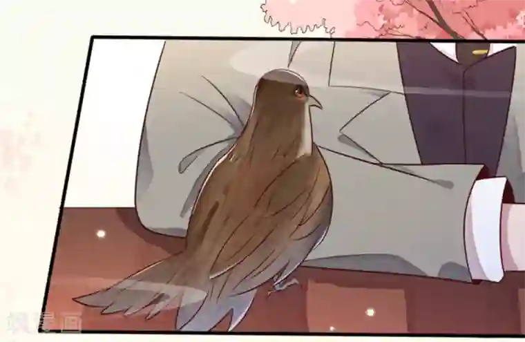 占星茶楼第13话