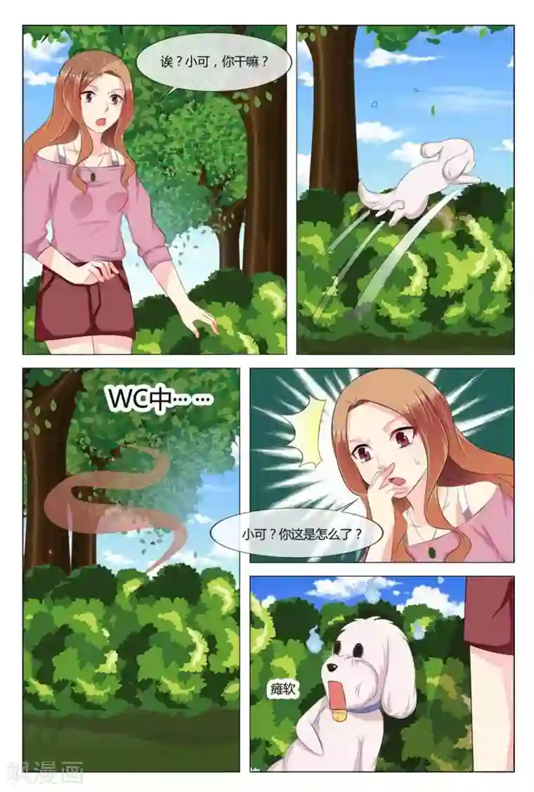 我的房东是泰迪第18话