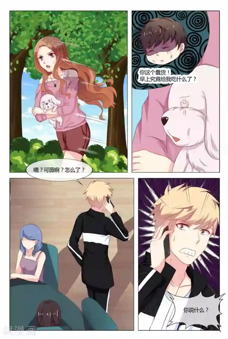 我的房东是泰迪第18话