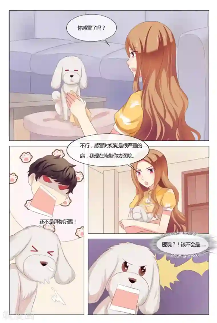 我的房东是泰迪第39话