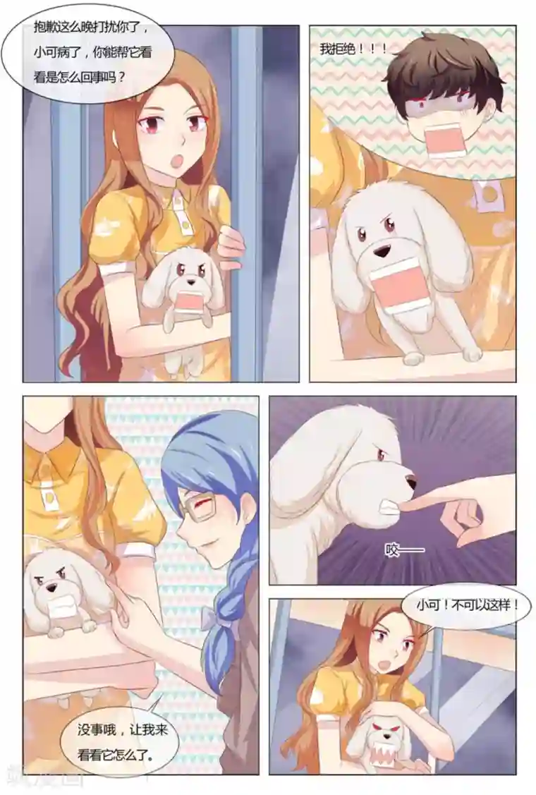 我的房东是泰迪第39话