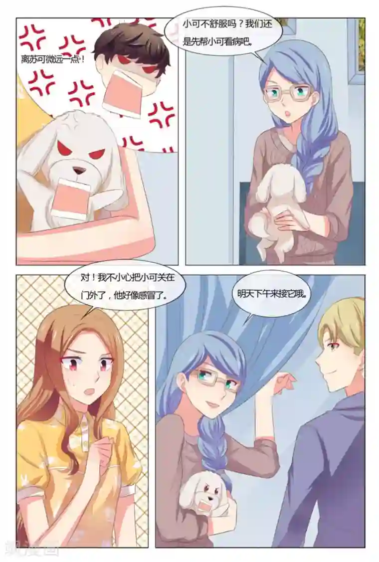 我的房东是泰迪第39话