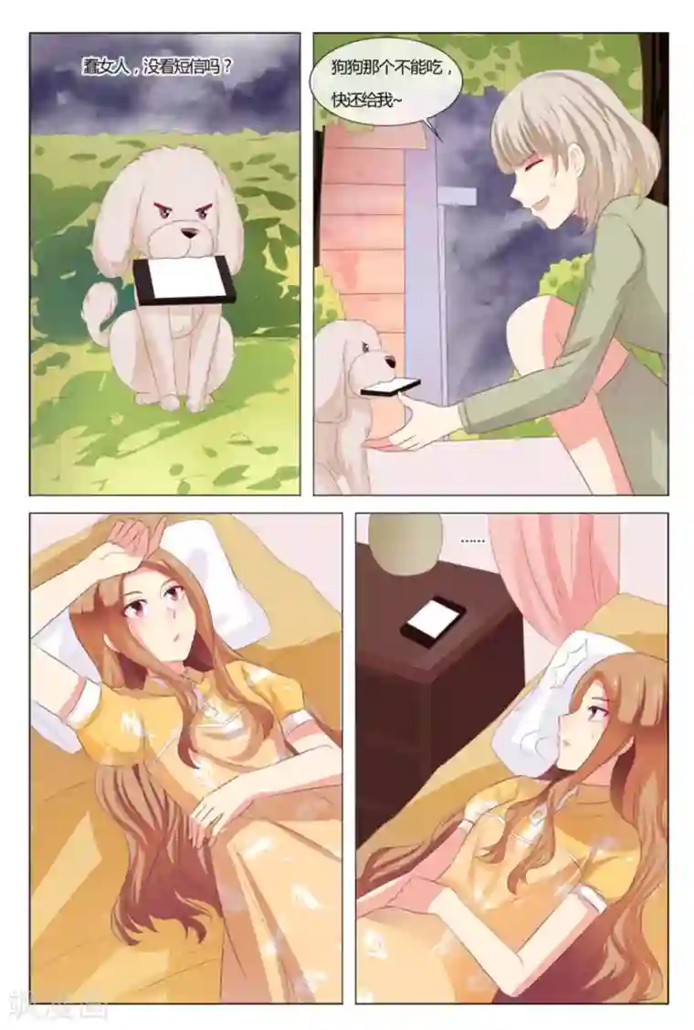 我的房东是泰迪第39话