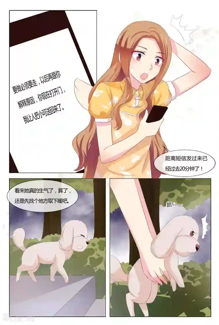 我的房东是泰迪第39话