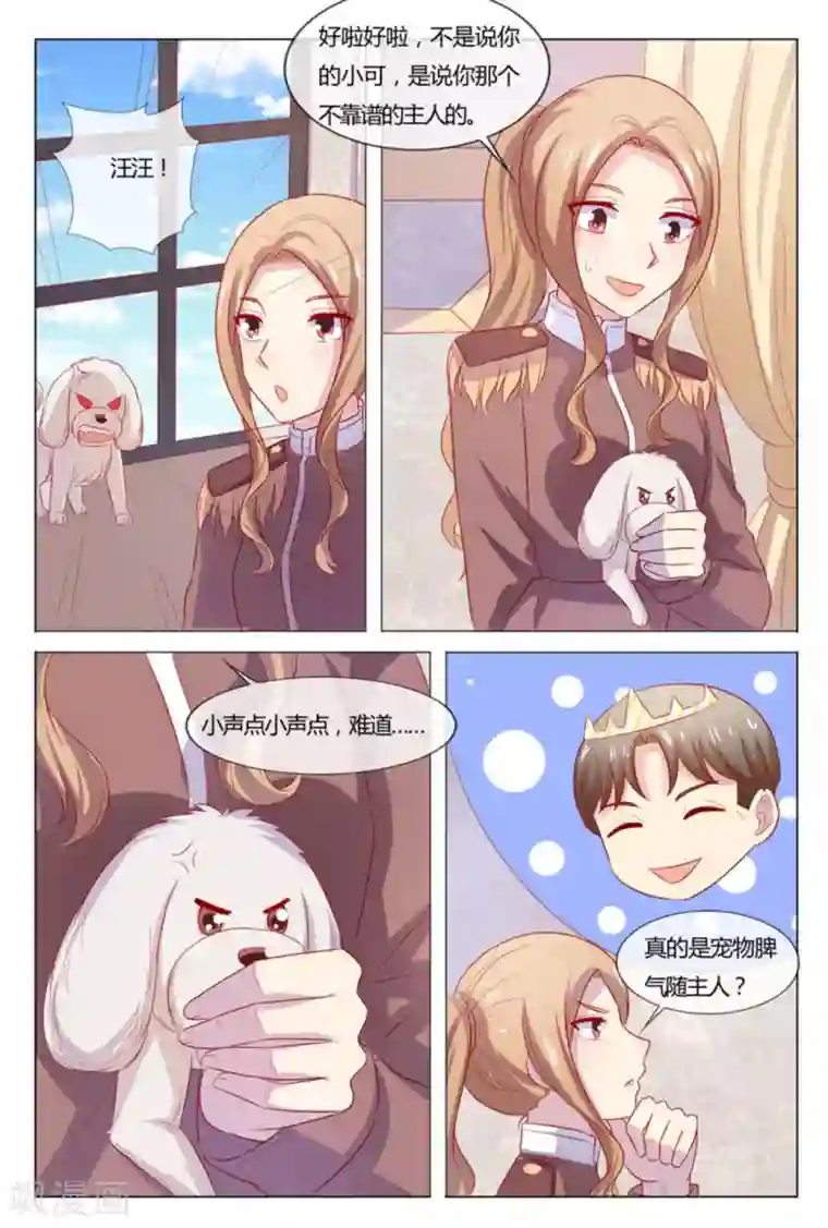 我的房东是泰迪第53话