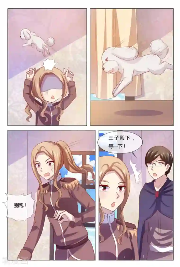 我的房东是泰迪第53话