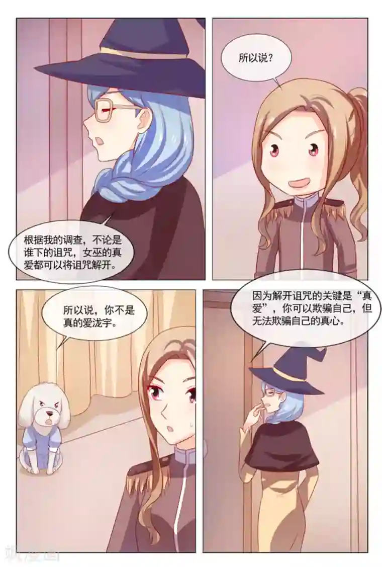 我的房东是泰迪最终话