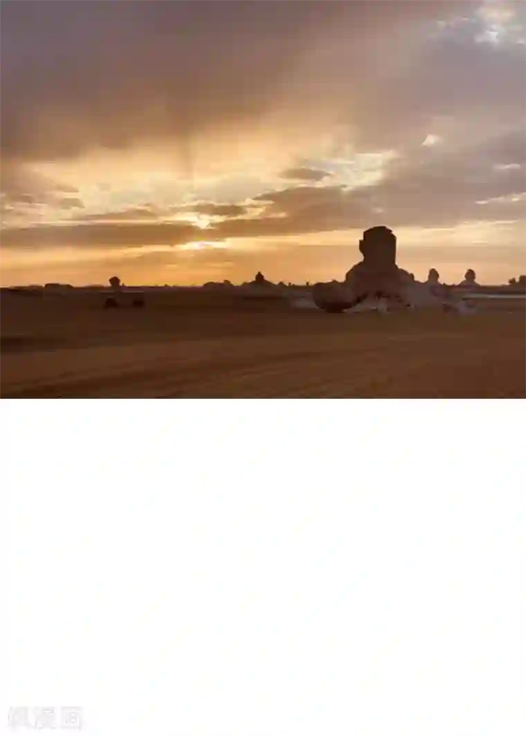 王的第一宠后王的茶话会39 神奇的沙雕之城