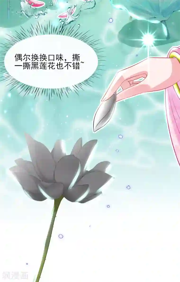 惊世狂妃第70话 祖母的寿辰礼