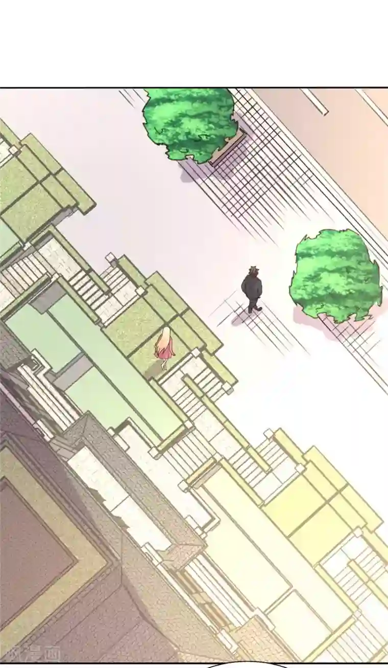 帝婿第53话 女生打架画面太美