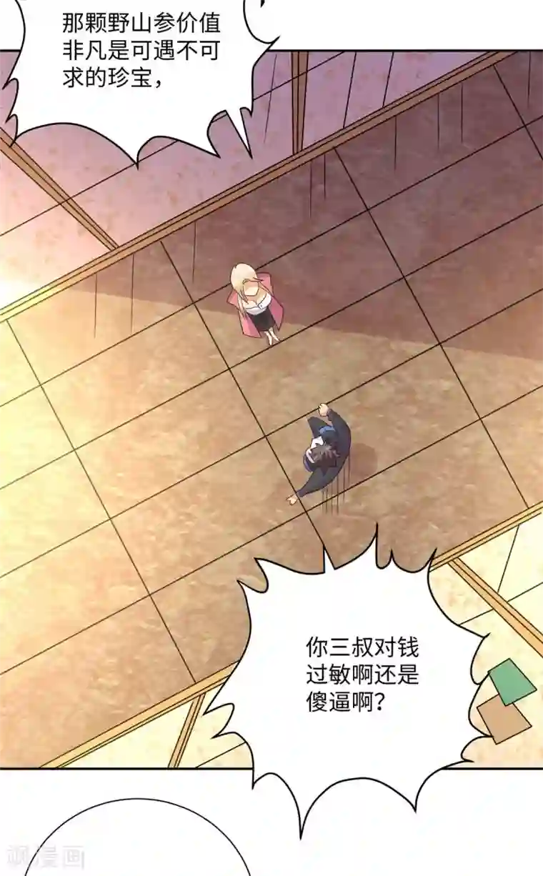 帝婿第53话 女生打架画面太美