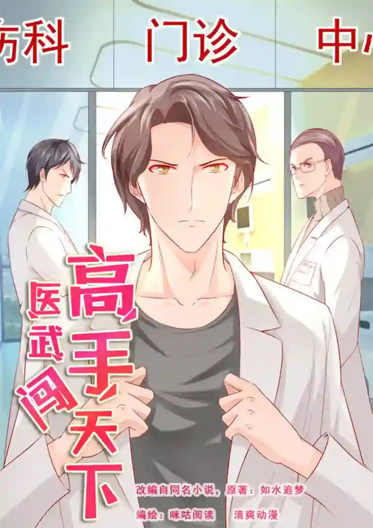 医武高手闯天下第15话