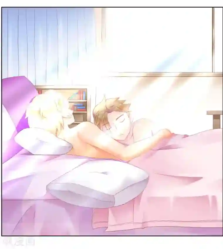 冤家小小鸟第1话