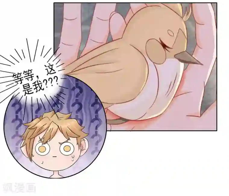 冤家小小鸟第3话