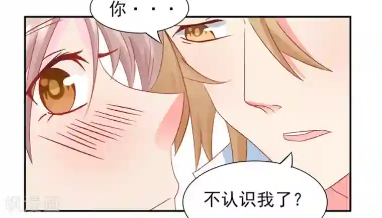 冤家小小鸟第14话