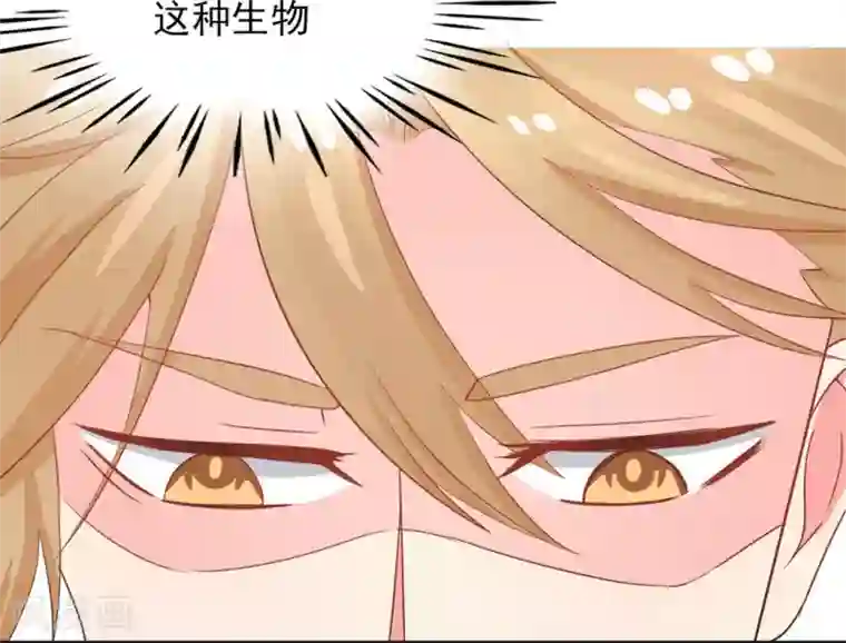 冤家小小鸟第14话