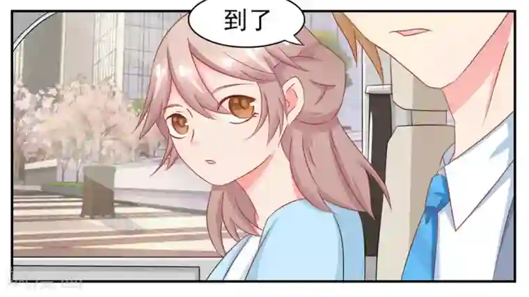 冤家小小鸟第15话