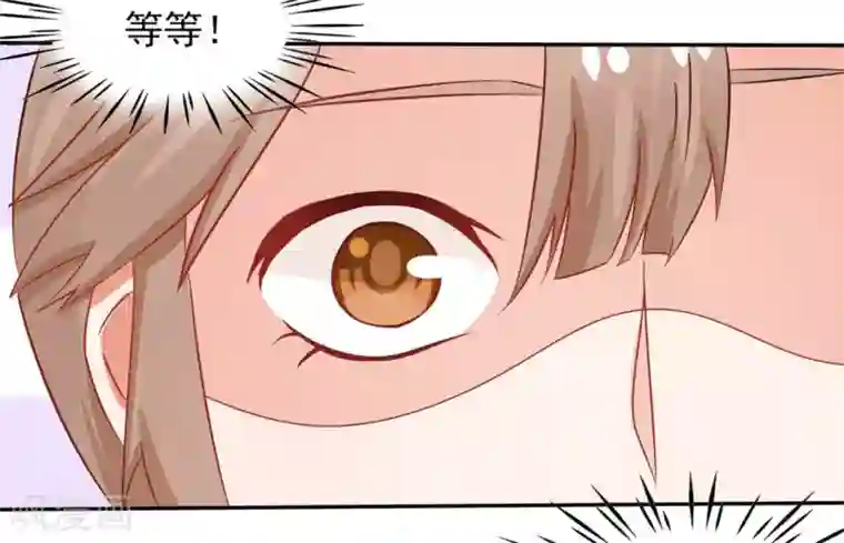 冤家小小鸟第15话