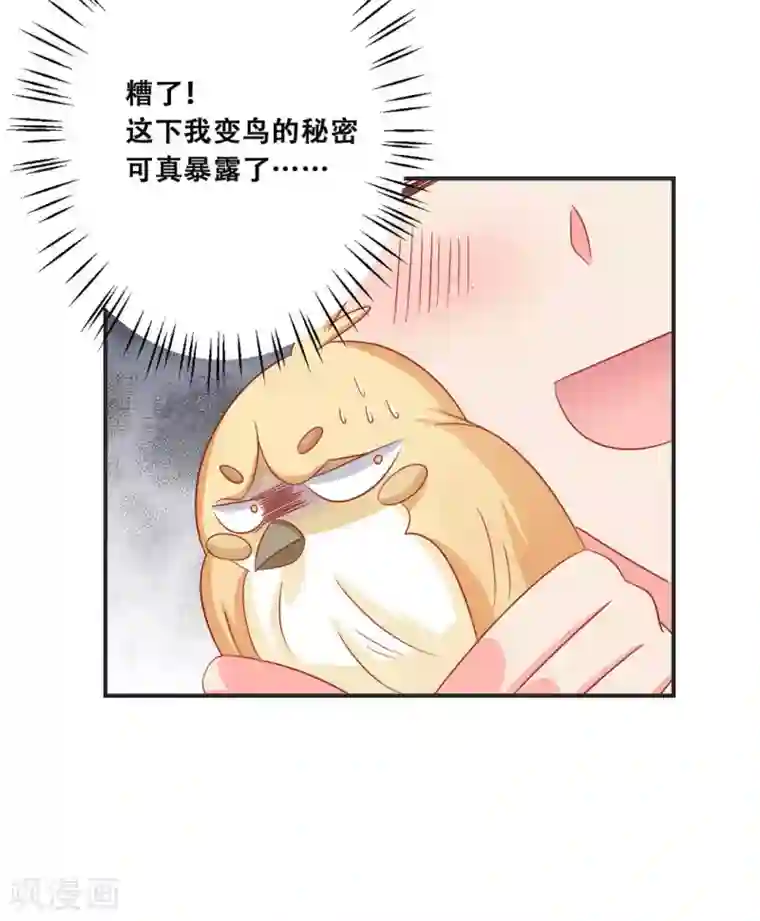 冤家小小鸟第31话