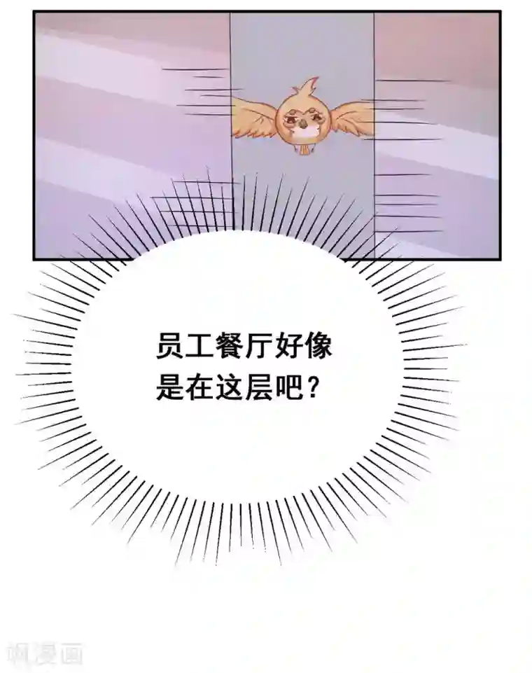 冤家小小鸟第35话