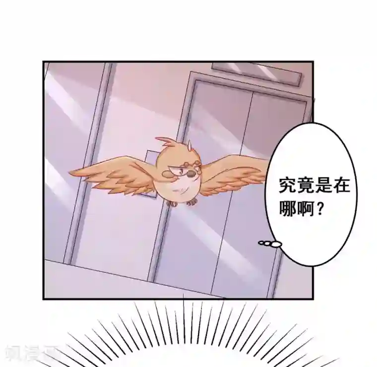 冤家小小鸟第35话