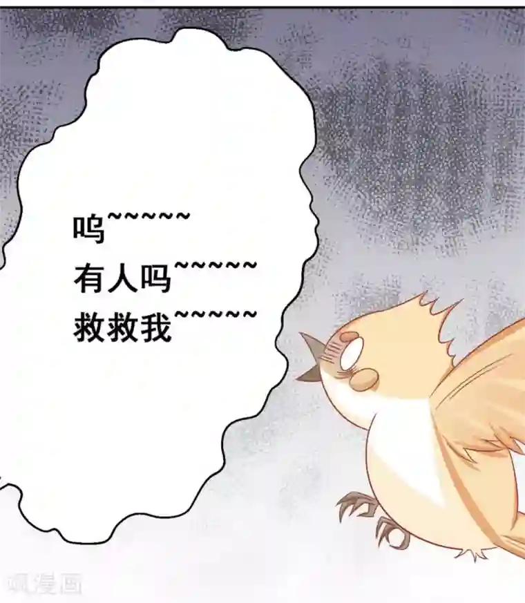 冤家小小鸟第35话