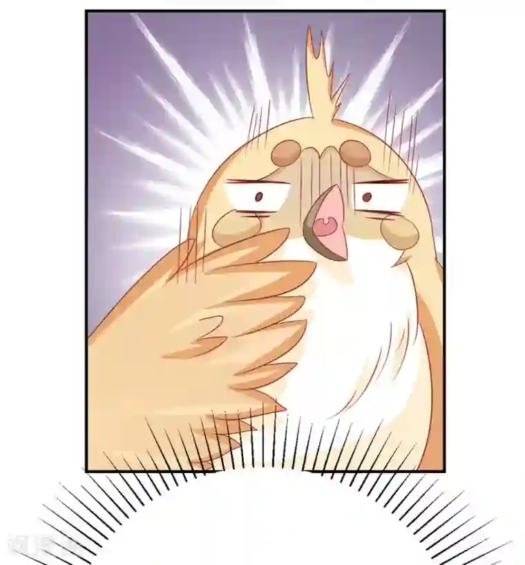 冤家小小鸟第35话