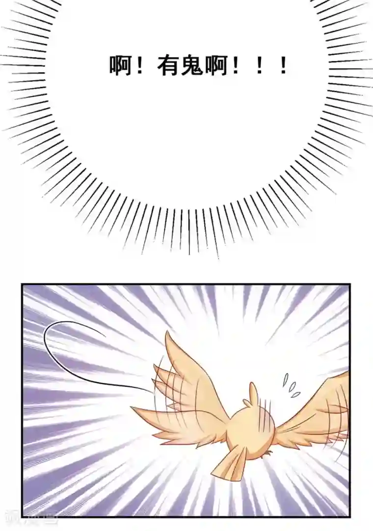 冤家小小鸟第35话